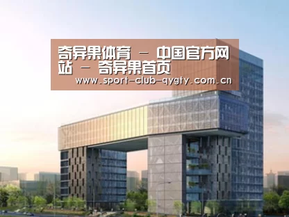 案例展示四